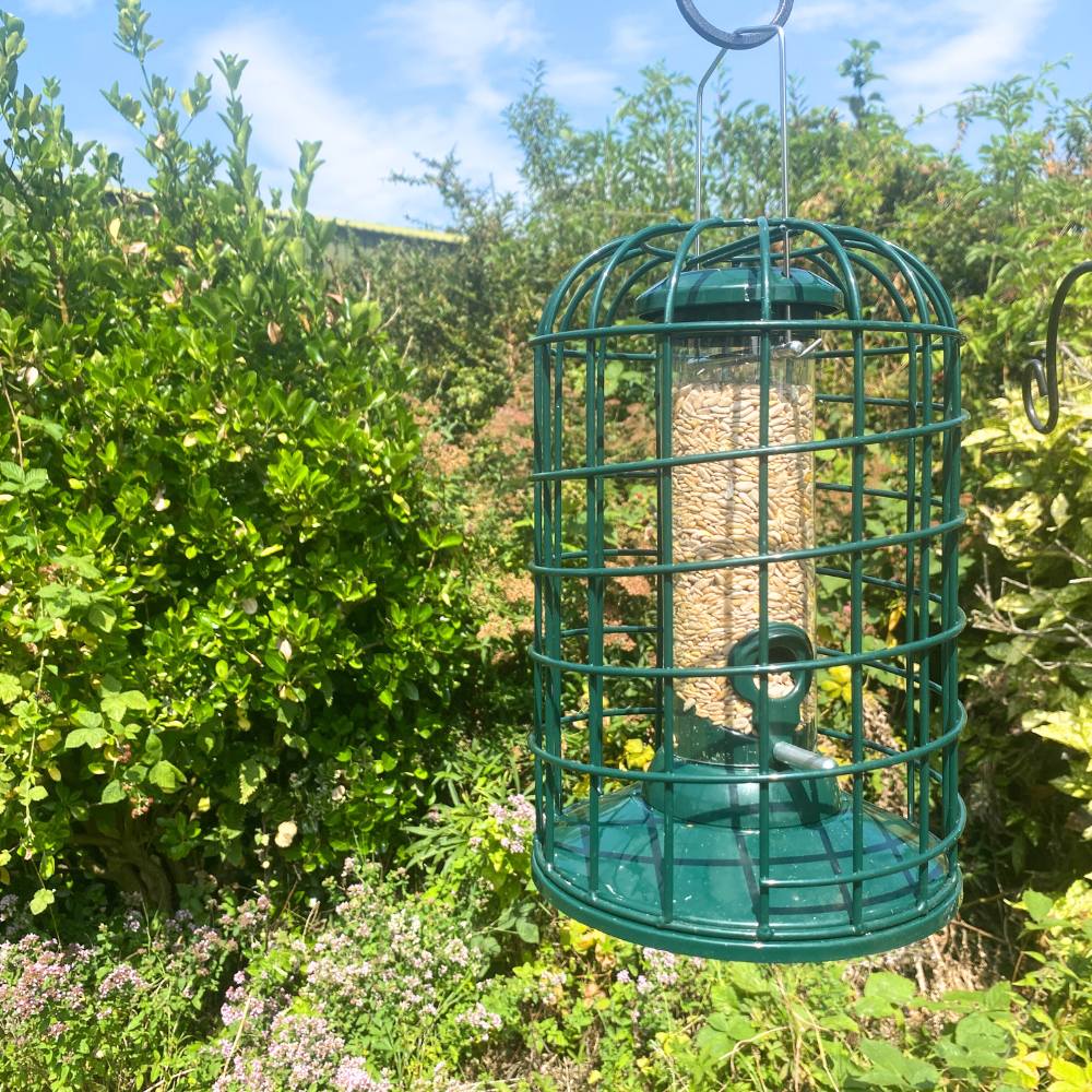 Guardian Squirrel Proof Seed Feeder